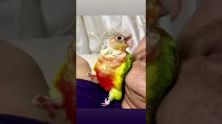 소망이의 일상(코뉴어) 6년전 모습