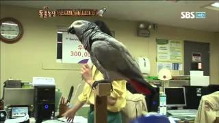 TV 동물농장 571회 #2