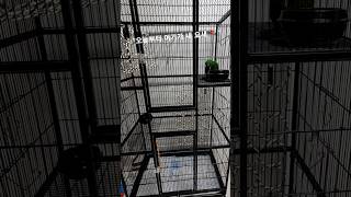 &quot;오늘부터 여기가 내 요새 &quot;    …