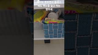 열지도 못하면서 줄려고 해도 뺏는줄 알고 막는 앵무새 …