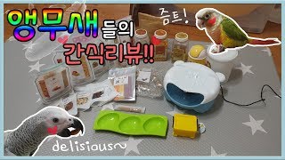 현실 앵무새 간식에 대처하는 자세ㅣ쇼핑하울 간식후기 3…