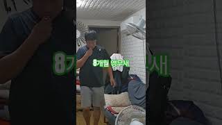 영종도 족장빌리지 미니캠핑장.앵무새.청금강 8개월 첫 …