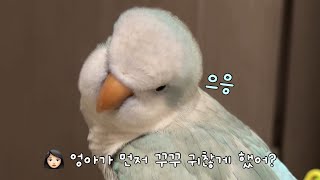 꾸꾸 주장의 진실은...?