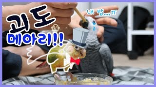 동생 이유식 뺏어먹는 앵무새ㅣ앵무새도 질투를 할까?