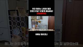 앵무새 오게하는 방법(호출훈련팁) #앵무새 #코뉴어 #…