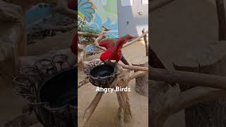 꼬장부리기                         …