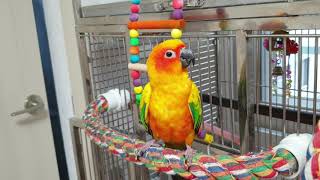 썬코뉴어 써니가족