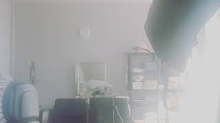 코카투 앵두의 호출훈련~!  앵두 돌아와~!