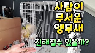 [#앵집사] 앵집사 두번째 의뢰 (사람을 무서워 하는 …