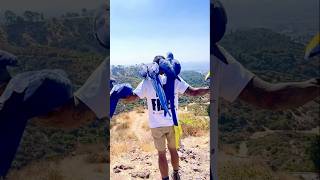 Hyacinth macaw parrot