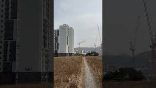 할리퀸 마카우 루카 산책