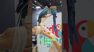 앵무새 #2025 #수원 #파충류 #곤충 #앵무새 #전시회 #다흑 #박람회 #cute #animals #청금강앵무새 #홍금강앵무새 #왕관앵무