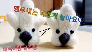 앵무새가 축구를 하면? #앵무새 #축구 #cockatoos #앵무새축구