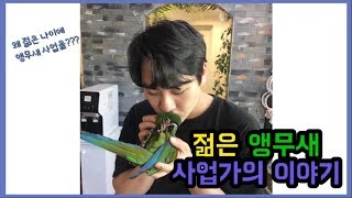 젊은 나이에 앵무새 사업을 하는 이유?(_조류원) 버드플라잉