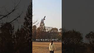 서울숲에서 청금강앵무새, 갈라코카투 자유비행 산책 #앵…