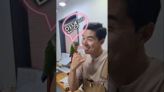 하수구!!  말하는코뉴어앵무새#코뉴어앵무새#말하는앵무새…