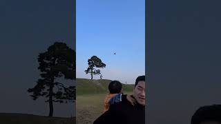 나이먹은청금강 자유비행가능?