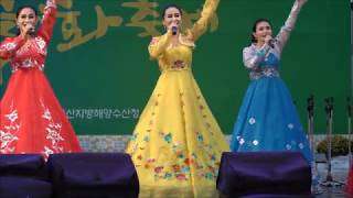 금강강산  민족예술단     가고파국화축제     단장…
