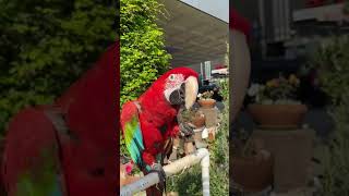 새로운 가족이 된 홍금강