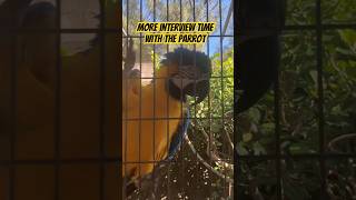 More interview time with the p…