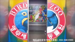 [앵무새창업] - 앵무새동물원(인천조류원) 컨설팅