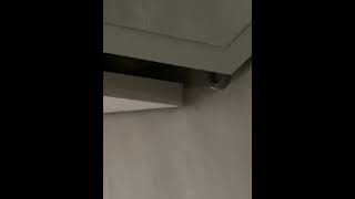 소망이의 일상(코뉴어)