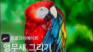 프로크리에이트 앵무새 그리기!(Procreate Dra…