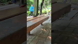 초롱♡연두 #코뉴어 #반려조 #parrot #화난 초롱#