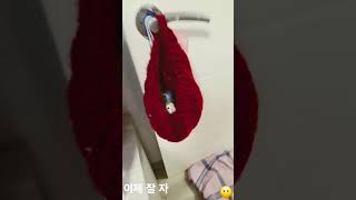 자고싶은 앵무새