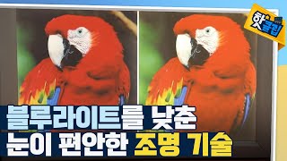 [핫클립] 조명 기술력을 증명하는 앵무새 / YTN 사이언스