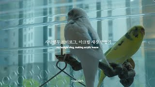 사랑앵무 브이로그? | 앵무새 집 만들어주기, 아크릴 새장, 키드오&슈가