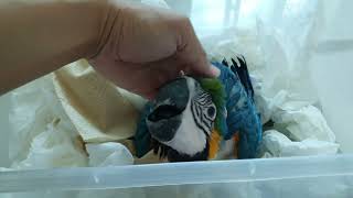 청금강 청하 처음 만난날