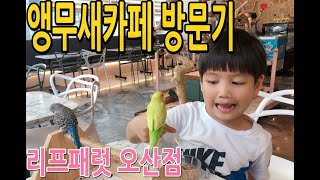 앵무새카페 리프패럿 오산점 방문영상/리프패럿/리프승수/이색카페/힐링카페/VERW 자막 처음으로 사용
