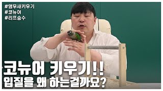 코뉴어키우기!! 입질을 왜 할까요?