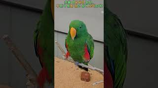 &quot;저를 그렇게 바라보면… 뭐라도 줘야 할 것 …