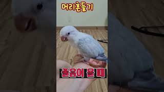 퀘이커 루카가 잠을 몰아내는 방법