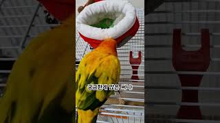 써니는 이것저것 궁금한게 많아요!    #썬코뉴어 #p…