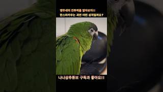 지구최강 앵무새 상추 #foryou #parrot #앵무새 #한스마카우 #cute