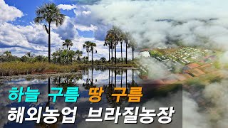 브라질의 습지풍경,  색다른 브라질 풍경, 하늘구름 땅…