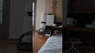 [퀘이커 앵무] 낮잠 #parrot #quakerpar…