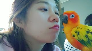 This is a real bird kiss ? / 썬…