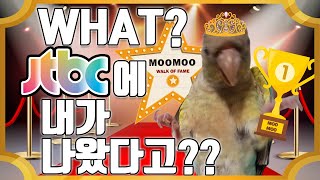 [속보] 앵무새 무무 jtbc 방송출연!