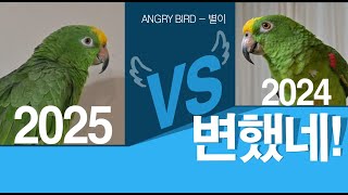 수다 그리고 막말 대잔치 / 새춘기 지나더니 얼굴이 변…