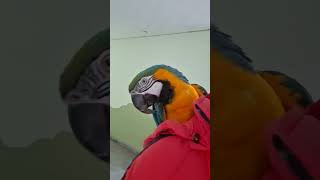 내꺼란 말이야....                   …