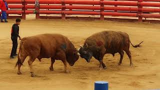 2024년 5월 18일 토요일 제 3경기 (홍)빅매치v…