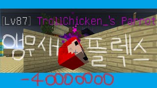 앵무새 펫에 4천만원만 지르겠습니다^^