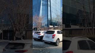 개소리 흉내내면서 나는 루카 #parrot #청금강 #…