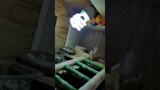 썬코뉴어 말하기♡