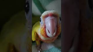 작고 소중해!!                      …