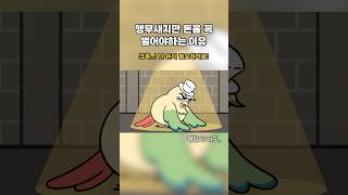 앵무새지만 돈을 꼭 벌어야하는 이유